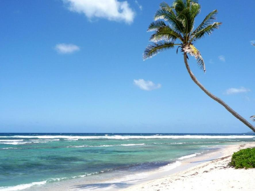 Caribbean Studios Tropicana With Pool - Playa Los Corales Punta Cana Ngoại thất bức ảnh