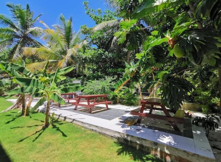 Caribbean Studios Tropicana With Pool - Playa Los Corales Punta Cana Ngoại thất bức ảnh